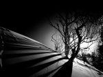 dscn4138.jpg