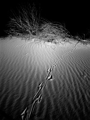 sand10.jpg