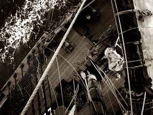 Bark Endeavour