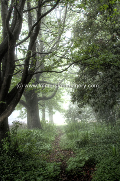 roberson-mist-1.jpg