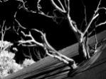 dscn4123.jpg