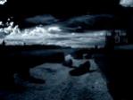 ir-danube7.jpg