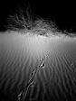sand10.jpg