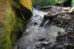 Creek outside Robertson NSW.jpg