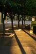 Bowral Street