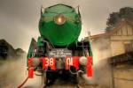 3801 Steam Train Robertson