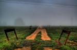 Farm Outside Robertson NSW